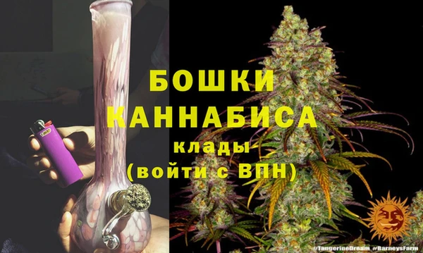 apvp Аркадак