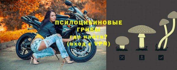 а пвп мука Арсеньев